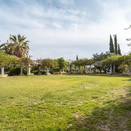 La Carrasca - Naranja Lantställe Catral