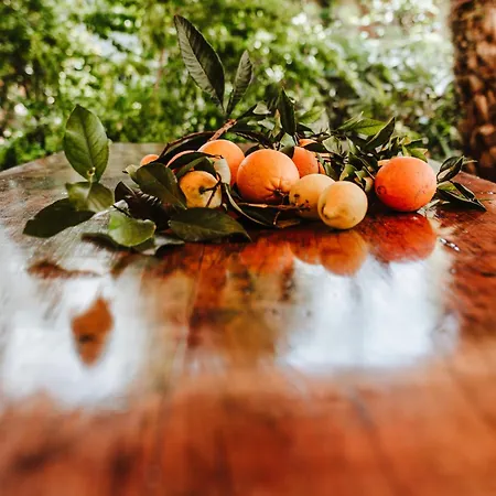 La Carrasca - Naranja Casa di campagna *