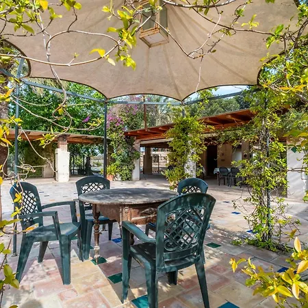 La Carrasca - Naranja * Catral