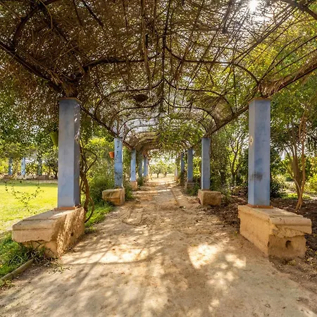 La Carrasca - Naranja Catral