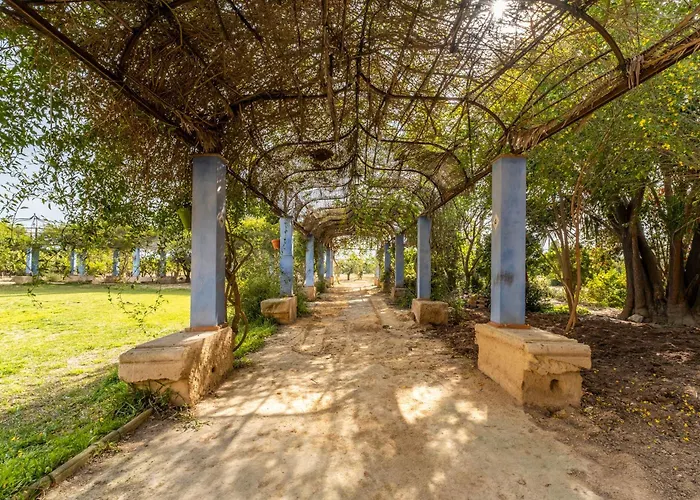 La Carrasca - Naranja Catral